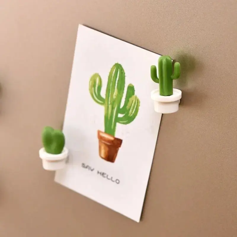 Six piece set of succulent fridge magnets