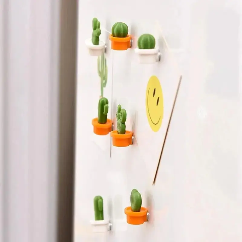Six piece set of succulent fridge magnets