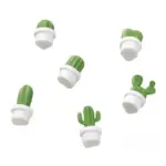 Six piece set of succulent fridge magnets