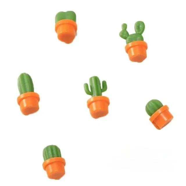 Six Piece Set Of Succulent Fridge Magnets 761613