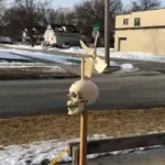 skull-windmill-halloween-skull-whirligig-wind-spinner-outdoor-decoration-933092 Skull windmill halloween skull whirligig wind spinner outdoor decoration