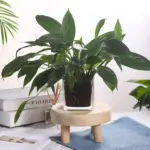 Small round wooden flower pot stand