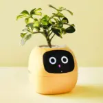 Smart plant ivy evolved