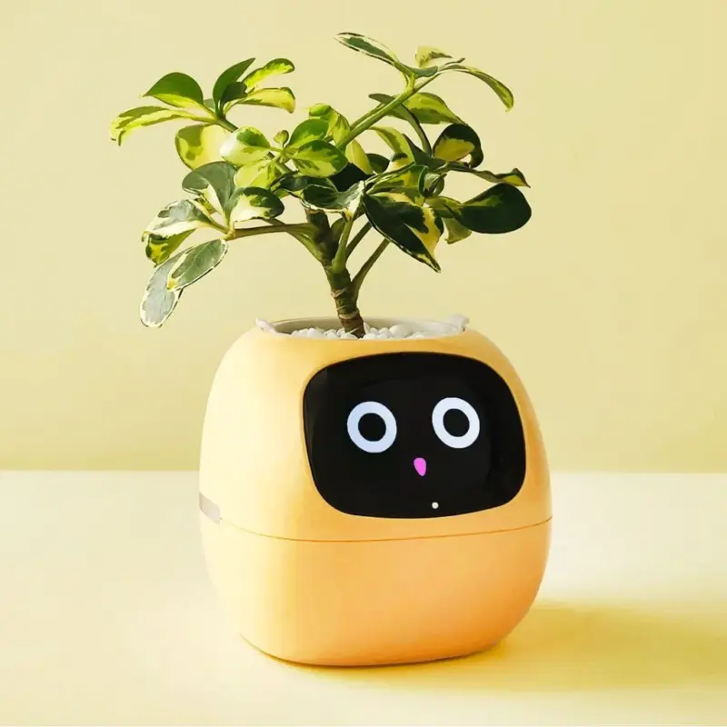 Smart plant ivy evolved