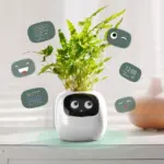 Smart plant ivy evolved