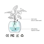 Smart plant ivy evolved