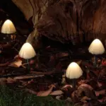 Solar mushroom garden lights breck fox
