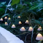 Solar mushroom garden lights breck fox