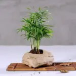 Stone vase mademoiselle home decor and furniture store