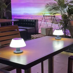 Homeko â Rechargeable Solar Table Lamp