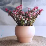 syrene-vase-mademoiselle-home-decor-and-furniture-store-3 Syrene vase mademoiselle home decor and furniture store