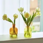 Two piece mini bud vase terrarium set