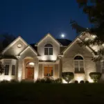 Uplighting 1 41d0aeb1 241b 46be 8b3c 5bd880196c3d