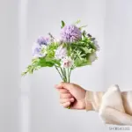 v-1769454611__848404613 V 1769454611