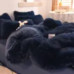 V 2