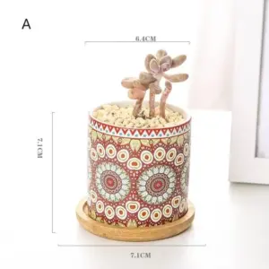 Mandala Succulent Planter