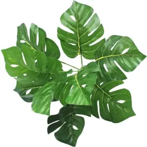 Turtle Leaves