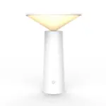 V WHITE
