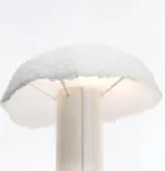 VCenhanCcDed image 44 enhancedcopia