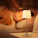 VDICae2aaceb69d5a78ca492caf707457455 750x b8a50b5a ca5c 4cda b02b b776397a19d3