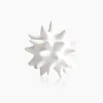 Whitelarge