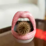 Wickedaf pink lips ceramic planter 18194503925909 900x be4abfc7 eae8 44db 9ef0 80dbcfda3d98