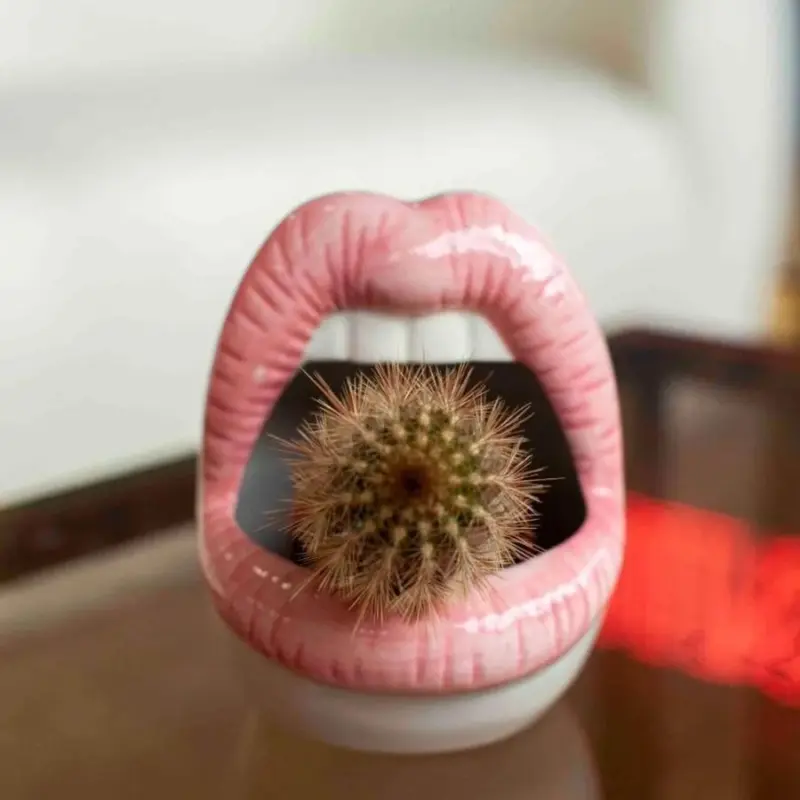 Wickedaf pink lips ceramic planter 18194503925909 900x be4abfc7 eae8 44db 9ef0 80dbcfda3d98