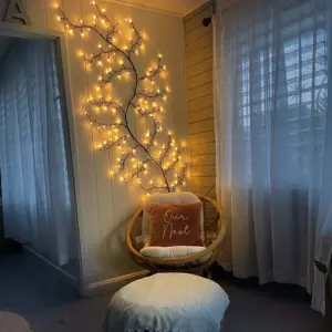 Willow Vine Light