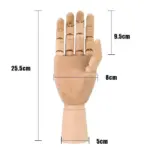 Wooden movable hand model