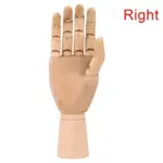 Wooden movable hand model