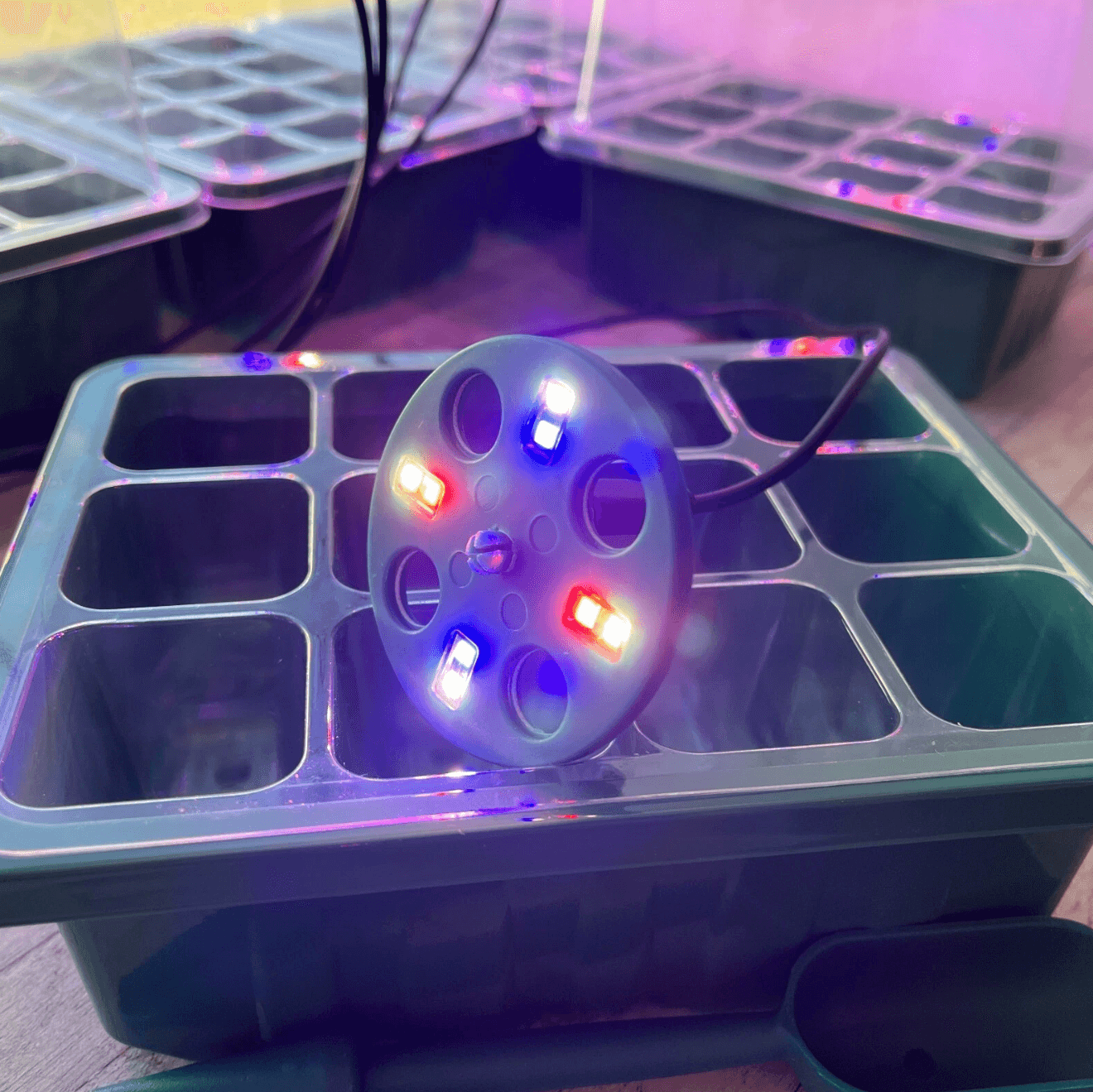 Plant Propagator Seed Tray Set with Full Spectrum USB Grow Lights (Pack of 5) (12)