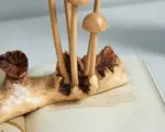 Enoki Mushrooms Wooden Sculpture Nature Statue 3.webp