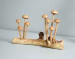 Enoki Mushrooms Wooden Sculpture Nature Statue 6.webp