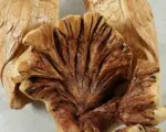 Hanging-Wooden-Owl-Couple-2.webp Hanging Wooden Owl Couple 2.webp