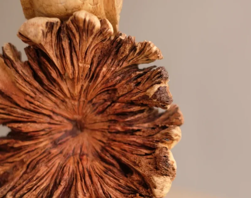 Owl on Tree Wooden Figurine Sculpture Decorative 2.webp
