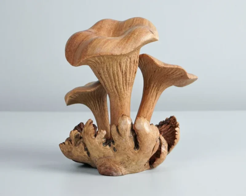 Wooden Chanterelle Mushroom Sculpture 5.webp