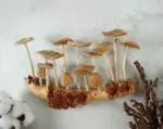 Wooden-Mushroom-Wall-Art-Hanging-Ornament-3.webp Wooden Mushroom Wall Art Hanging Ornament 3.webp
