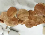 Wooden-Mushroom-Wall-Art-Hanging-Ornament-4.webp Wooden Mushroom Wall Art Hanging Ornament 4.webp