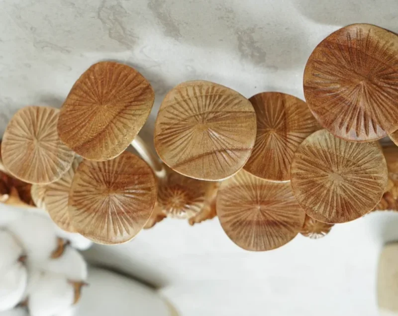 Wooden Mushroom Wall Art Hanging Ornament 4.webp