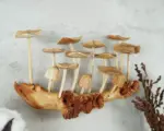 Wooden-Mushroom-Wall-Art-Hanging-Ornament-5.webp Wooden Mushroom Wall Art Hanging Ornament 5.webp