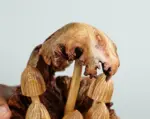 Wooden-Mushroom-Wall-Art-Hanging-Ornament-Handcraft-2.webp Wooden Mushroom Wall Art Hanging Ornament Handcraft 2.webp