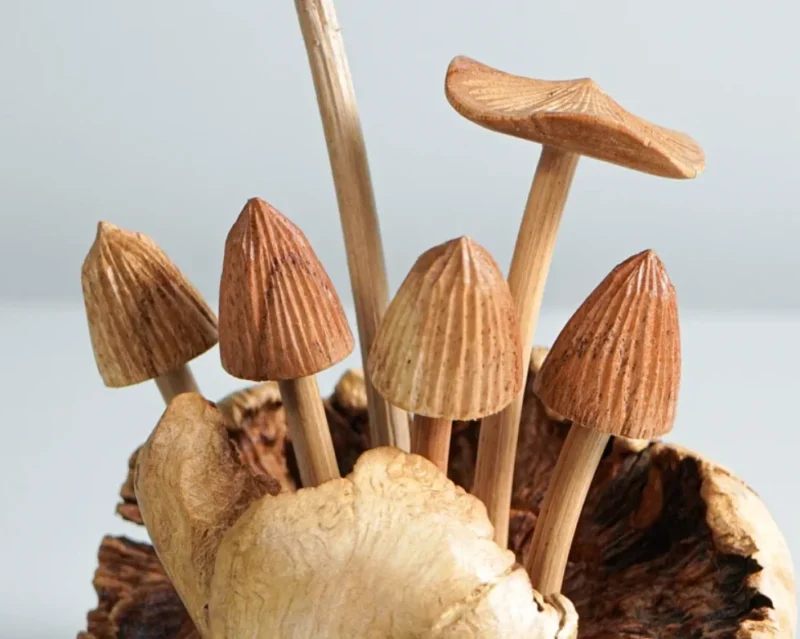 Wooden Mystical Mushroom Figurine Forest Art Personalized Statue 3.webp