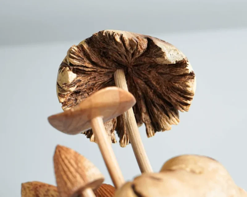 Wooden Mystical Mushroom Figurine Forest Art Personalized Statue 4.webp