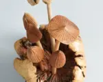 Wooden-Mystical-Mushroom-Figurine-Forest-Art-Personalized-Statue-5.webp Wooden Mystical Mushroom Figurine Forest Art Personalized Statue 5.webp