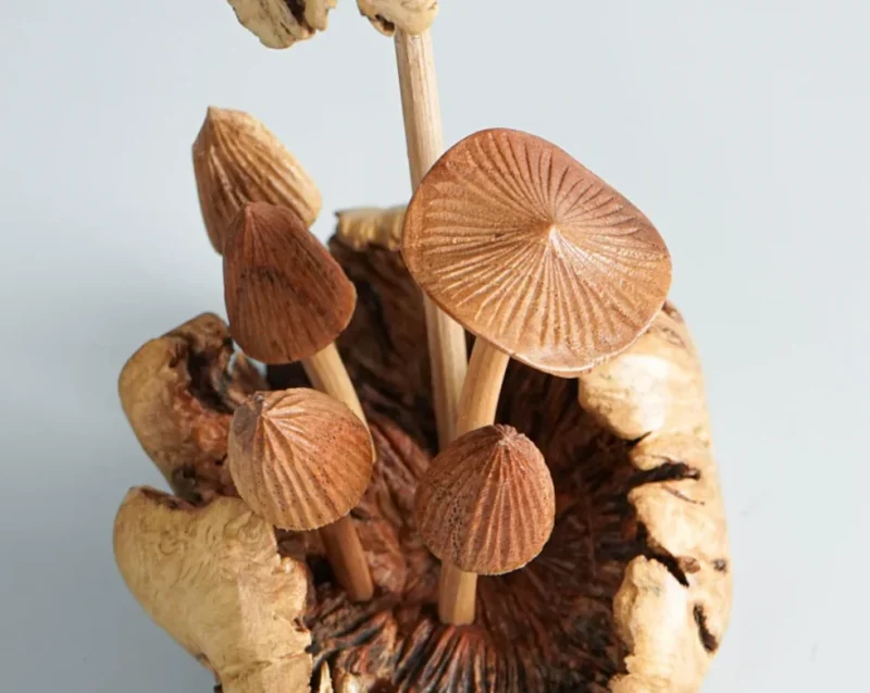Wooden Mystical Mushroom Figurine Forest Art Personalized Statue 5.webp